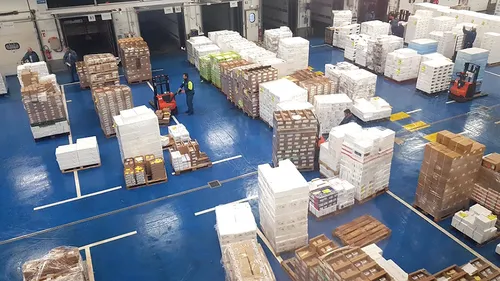 Les entreprises du port se préparent au rush de fin d’année