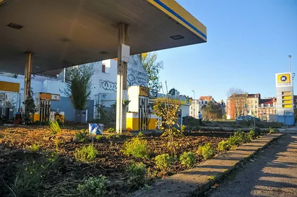 Vegetal Attacks à la station des sens !