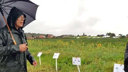 Les "vitrines fourragères" : ces cultures qui luttent contre le...