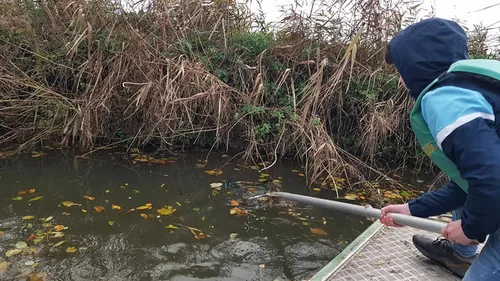 Contre le Black Friday, ils ont nettoyé le marais !