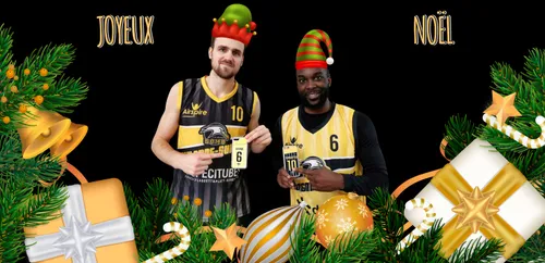 L'Opalico, basket, hand, rink... Les matchs du week-end