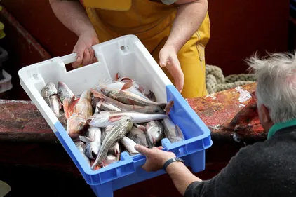 Les entreprises du port de Boulogne s’inquiètent des conséquences...