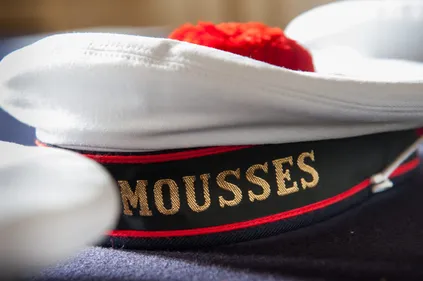 La police, l’armée de terre, l’armée de l’air et la Marine...