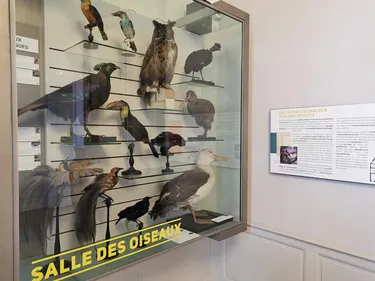 Les Audomarois vont pouvoir redécouvrir Henri Dupuis