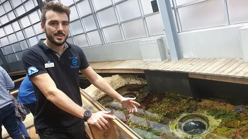 Pendant les vacances, des animations autour du corail à Nausicaá