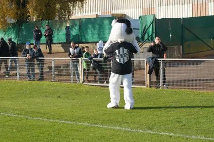 Basket, foot, hand... Les matchs du week-end