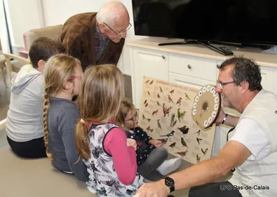 Le musée Sandelin vous propose de nombreuses animations en lien...