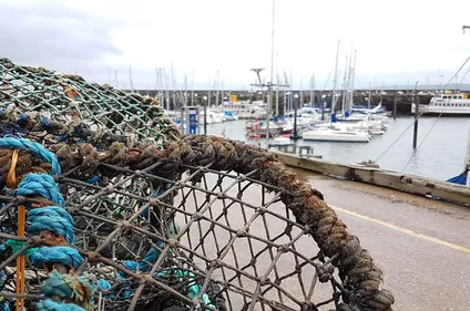La pêche du bar depuis la Côte est finalement autorisée, pour...