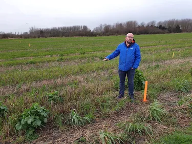 Grande opération de plantation écolo, le début d’un autre modèle