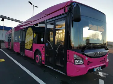 Les DK bus vont à nouveau desservir Adinkerke