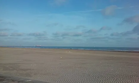 Baignade interdite jusqu'à nouvel ordre