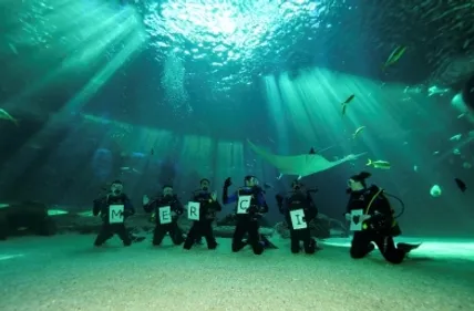 Nausicaà offre une visite à 8€ aux personnels soignants de...