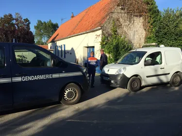 Offrethun : des animaux retrouvés morts de faim et de soif dans une...