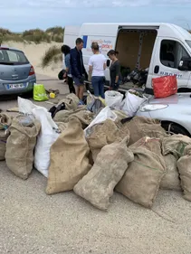 Avec DK Clean Up, venez nettoyer la nature