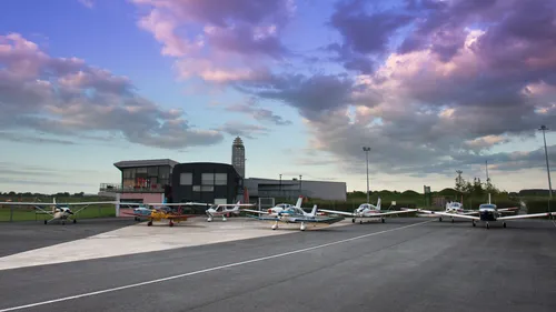 Un avion dans un champ de betteraves