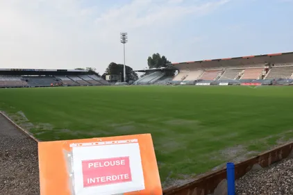 La pelouse de la Libération s'installe petit à petit