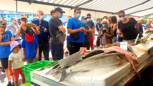 "Retour de pêche", la visite guidée à la rencontre des marins sur...