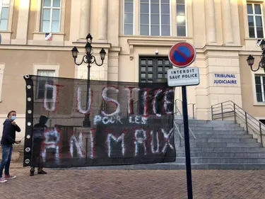 Des défenseurs de la cause animale devant le tribunal