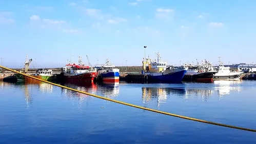 Licences de pêche dans les eaux anglaises: les marins boulonnais...