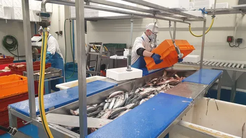 Camions bloqués en Angleterre, "40 tonnes de marchandise perdues"...
