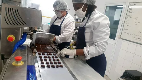 A Landrethun-le-Nord, la chocolaterie du Chênelet produit 200kg de...
