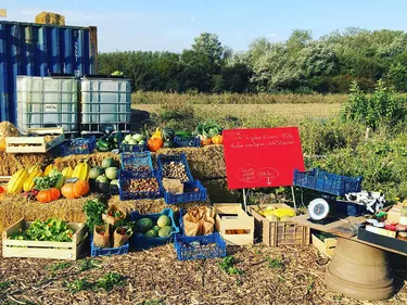 La jeune pousse Essaimances grandit très vite