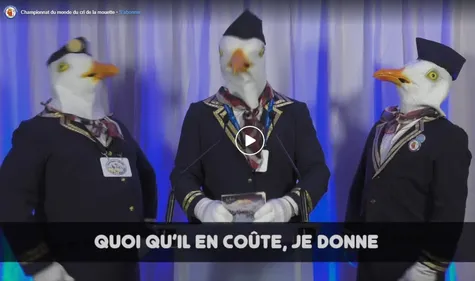 Le championnat du monde du cri de la mouette aura bien lieu