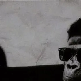 Un Tube, Une Histoire #397