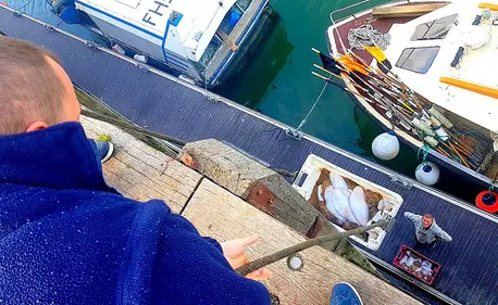 Malgré la crise, Boulogne reste premier port de pêche de France