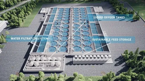 Le projet Pure Salmon aurait du plomb dans l’aile