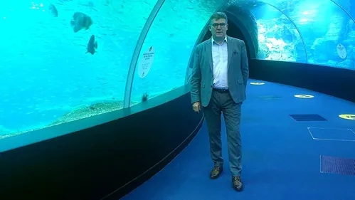 Boulogne: comment inciter les visiteurs de Nausicaà à aussi visiter...