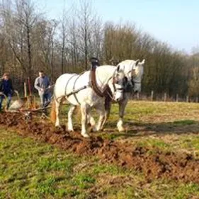 La Capelle se lance dans le maraîchage bio pour alimenter la...