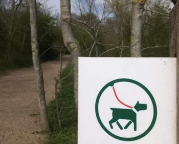 Hausse des infractions dans les dunes, soyez vigilants