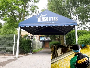 Clarebout Potatoes : Le directeur du théâtre Les Insolites est...