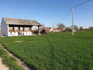 Les agriculteurs Nordistes souffrent eux-aussi du gel