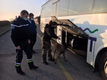 La fraude n’a pas connu la crise en 2020….