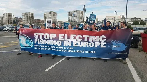 La pêche électrique interdite en Europe dès cet été