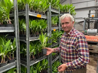 La vente de muguet autorisée le 1er mai, les producteurs sont soulagés