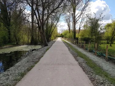 Maison de santé, stations de mobilité, budget participatif... Quels...