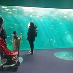 Nausicaà, musée, casino: les visiteurs au rendez-vous de la...