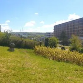 Six ruches installées devant l'hôpital Duchenne, des projets avec...