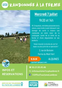 Un petit coin de Jurassic Park… à Coudekerque-Branche !