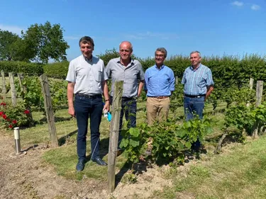 Près de 20.000 sont à pourvoir dans l’agriculture, mais la main...