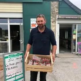 Des fraises en abondance à la cueillette de Hoymille