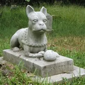 Bientôt un cimetière pour animaux à Saint-Martin-Lez-Tatinghem ?