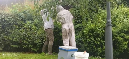 La reine a déménagé ses troupes