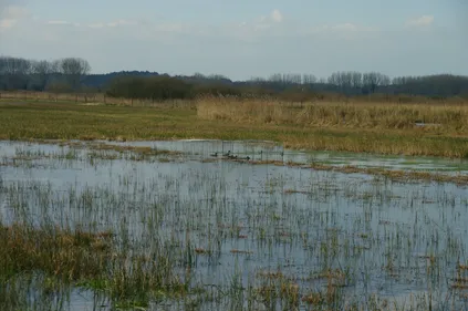La chasse ouvrira cette année le 19 septembre