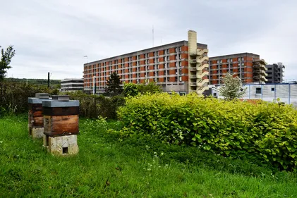 Attention aux travaux autour de l'hôpital dès aujourd'hui