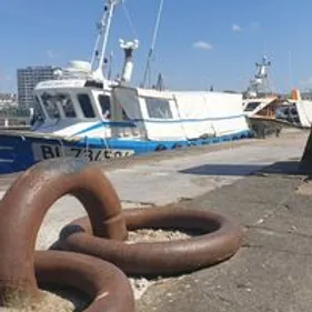 Brexit: face aux menaces, Londres pourrait attribuer une quinzaine...