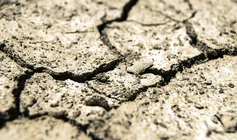 La situation s’améliore dans la région en matière de sécheresse